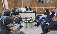 برگزاری آیین تجلیل از دختران شاغل در معاونت غذا و دارو به مناسبت روز دختر
